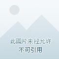 重生之全能女生