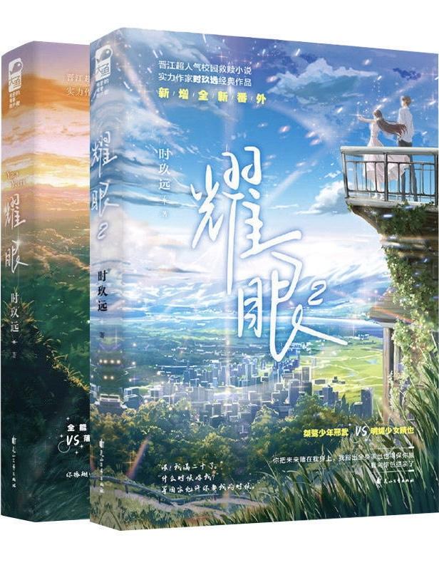 耀眼讲的什么