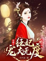 穿越之狂妃请留步