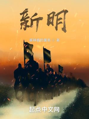 新明乡