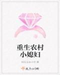 重生农家小媳妇全文阅读