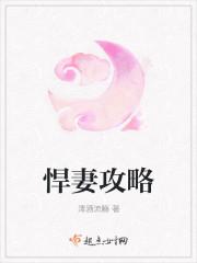 悍妻功略