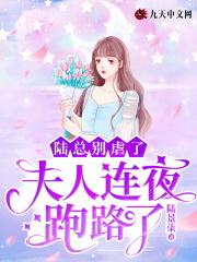 夫人又要离婚了