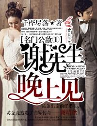 类似名门公敌谢先生晚上见的