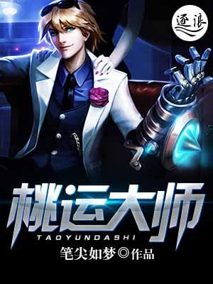 桃运大相师全集