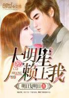 大明星爱上我加版故人来