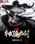 独孤九剑之武侠七公主