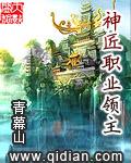 神匠技艺这套书共有多少本
