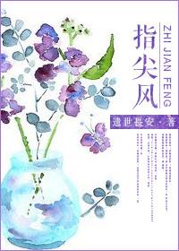指尖风月作品集