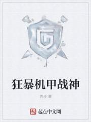 狂暴战机破解版