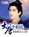 大唐神级小农民txt