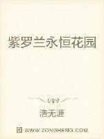 紫罗兰永恒花园14集免费观看完整版