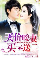 暖妻买一送一全文