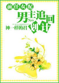 前任女配男主追回计划txt