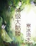 神级骷髅宁夜原著叫什么