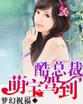 萌宝驾到总裁爹的快接招