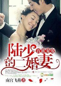 陆少的宠婚新妻