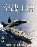 王牌空战5