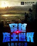 穿越废土世界(nph)