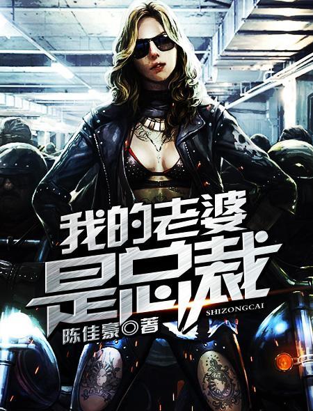 我的老婆是总裁这本书怎么样
