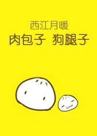 肉包子打狗打一成语