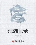 江湖血录泪全本