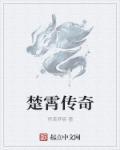 楚凌霄主角