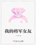 我的将军原版