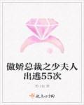 傲娇夫人总裁宠不停苏北路南