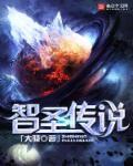 智圣网络科技有限公司