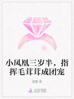 小凤凰动画片