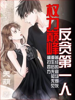 权力巅峰全文免费阅读正版