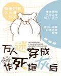 万人迷穿成作死炮灰后 作者骑着扫帚去火星