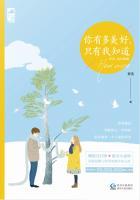 你有多美丽是什么歌