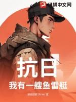 抗战之我有航母舰队txt