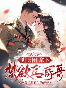 穿越六零撩兵哥汤圆
