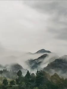 神秘复苏笔趣阁顶点