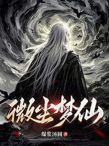 微尘网络科技有限公司