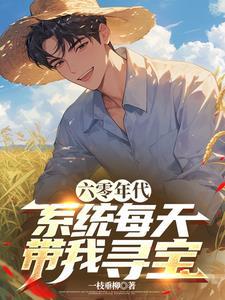 六零年代带挂系统