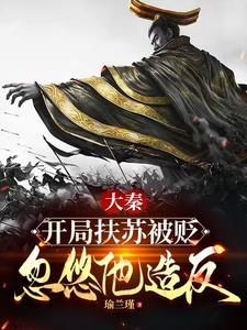 扶大秦一把免费阅读
