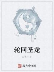 轮回圣皇txt