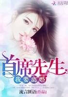 首席离婚请靠边免费阅读