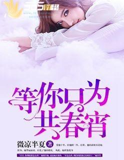 只为你等候是什么歌