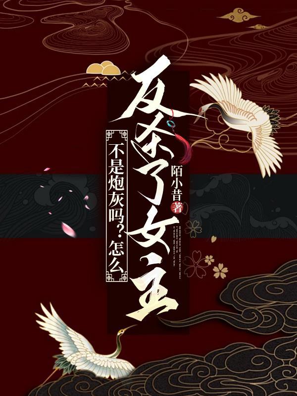 不是炮灰是龙套