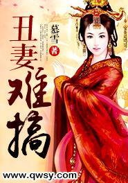 丑妻不打折