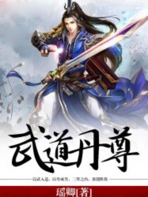 武道丹尊免费的午餐