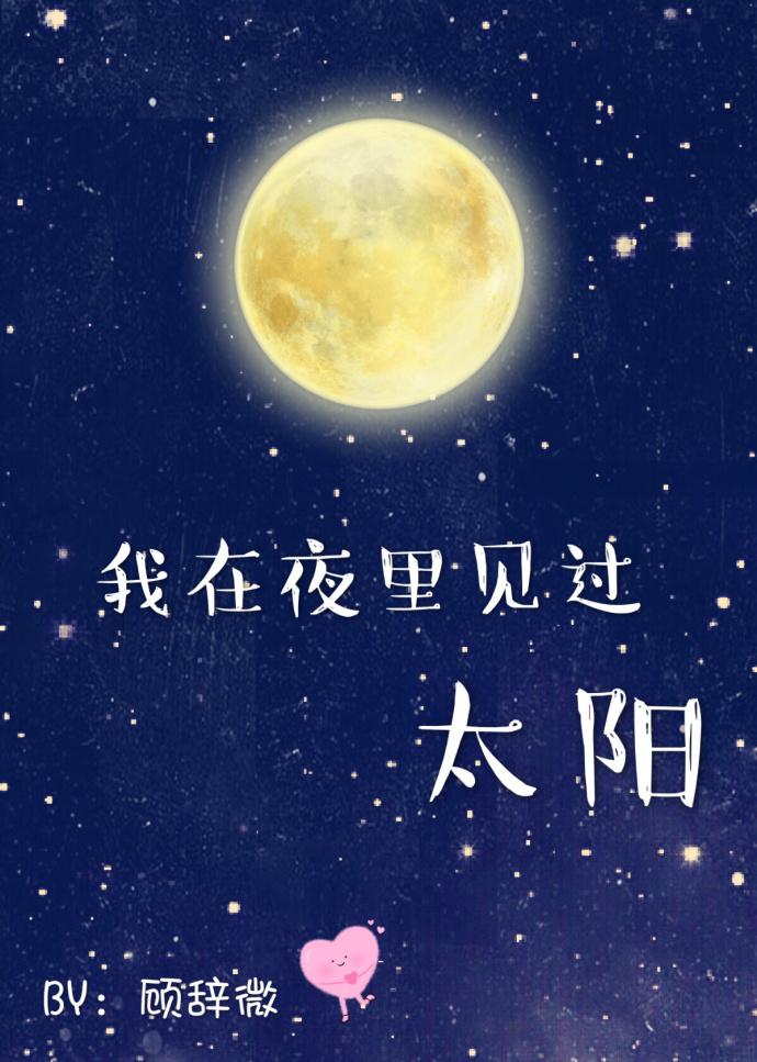 我在夜里看见太阳