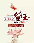 红楼之黛玉重生记 阿弥靖