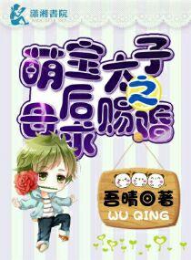 萌萌太子妃作者狐狸小公子