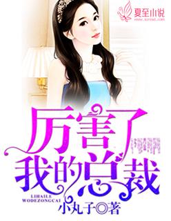 我的高冷总裁老婆叶文